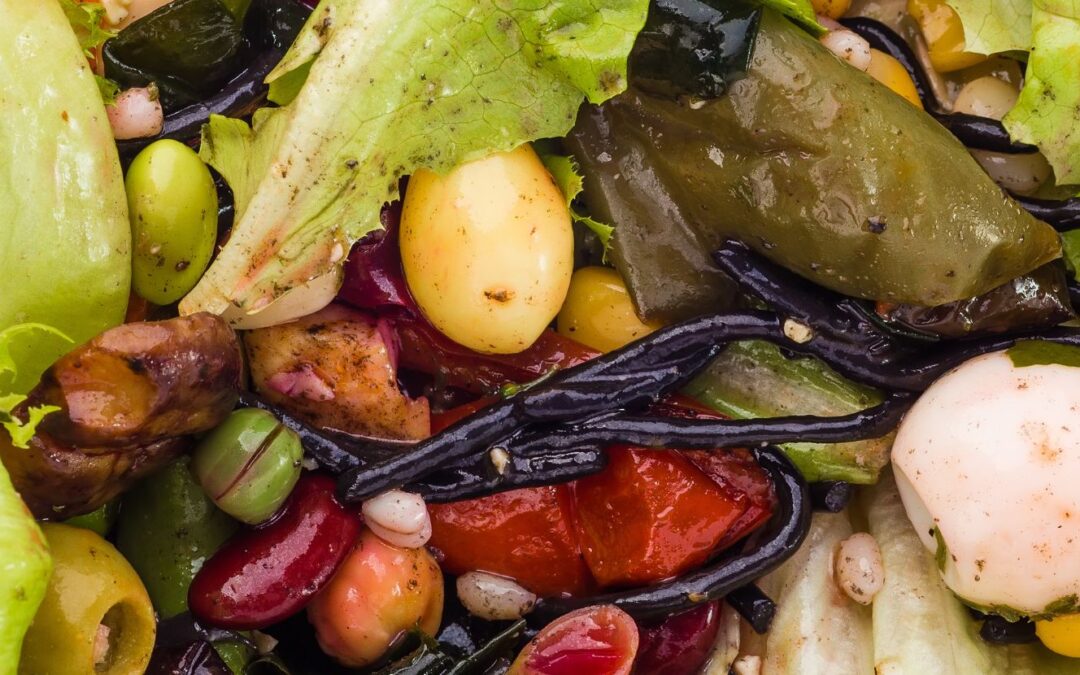 India’s Food Waste Crisis: The Staggering Stats and Sustainable Solutions